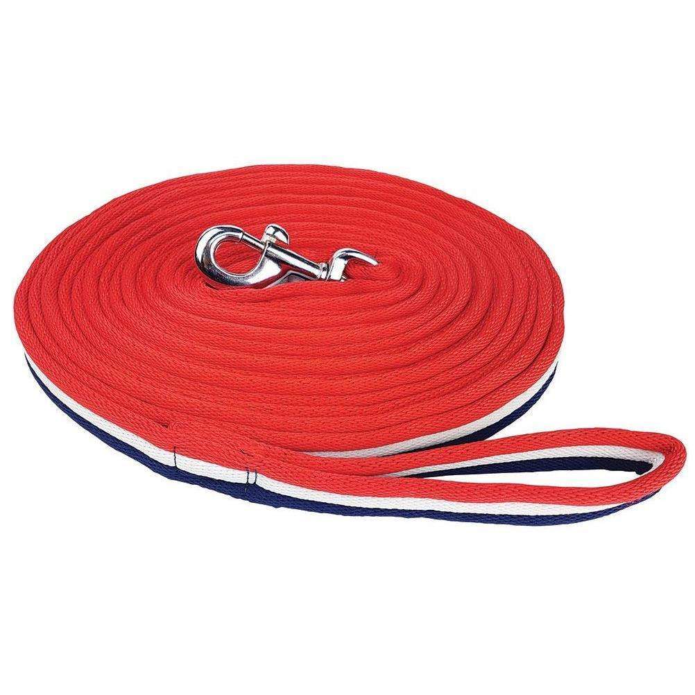 Zilco Brite Lunge Lead