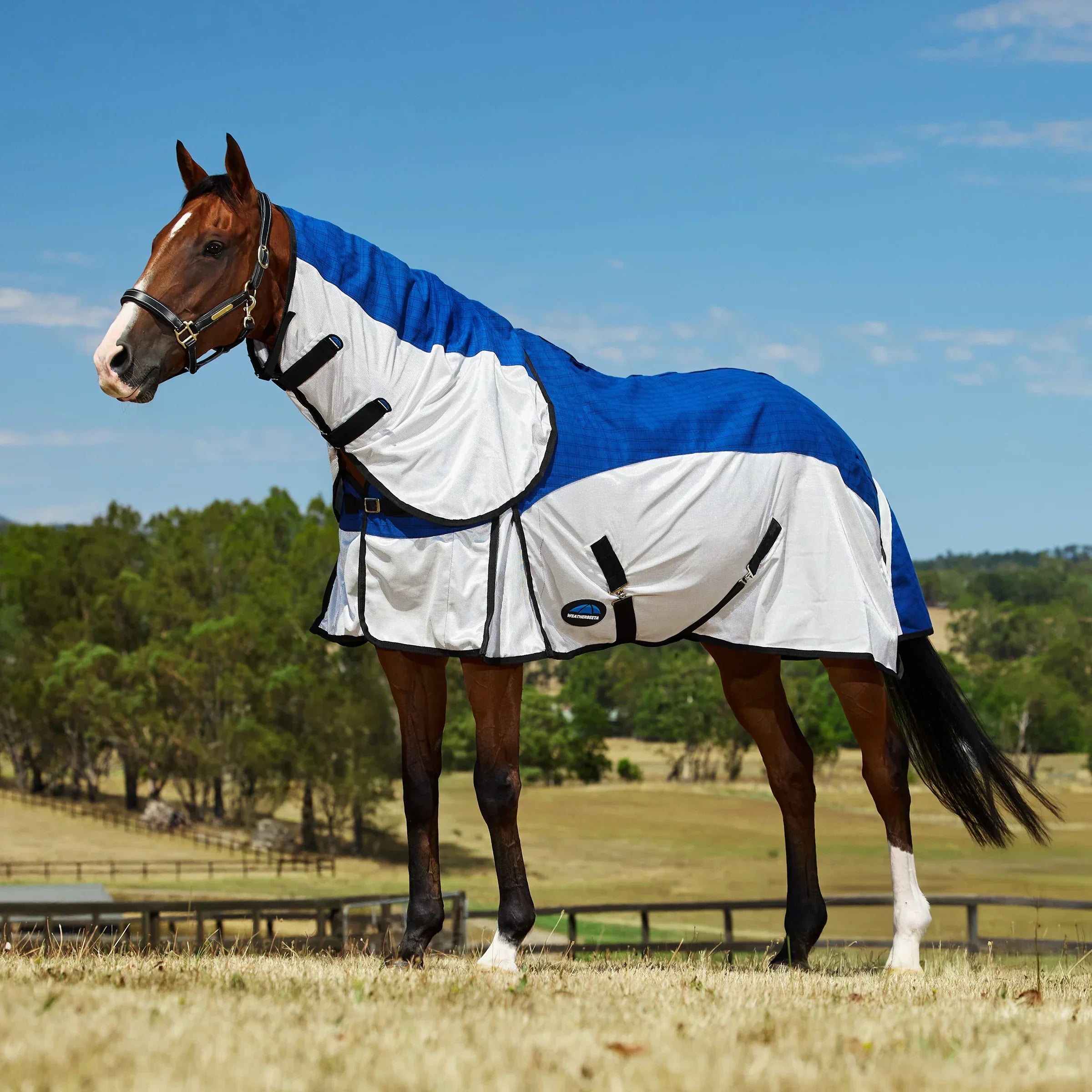Flexible horse rug solutions for changable weather