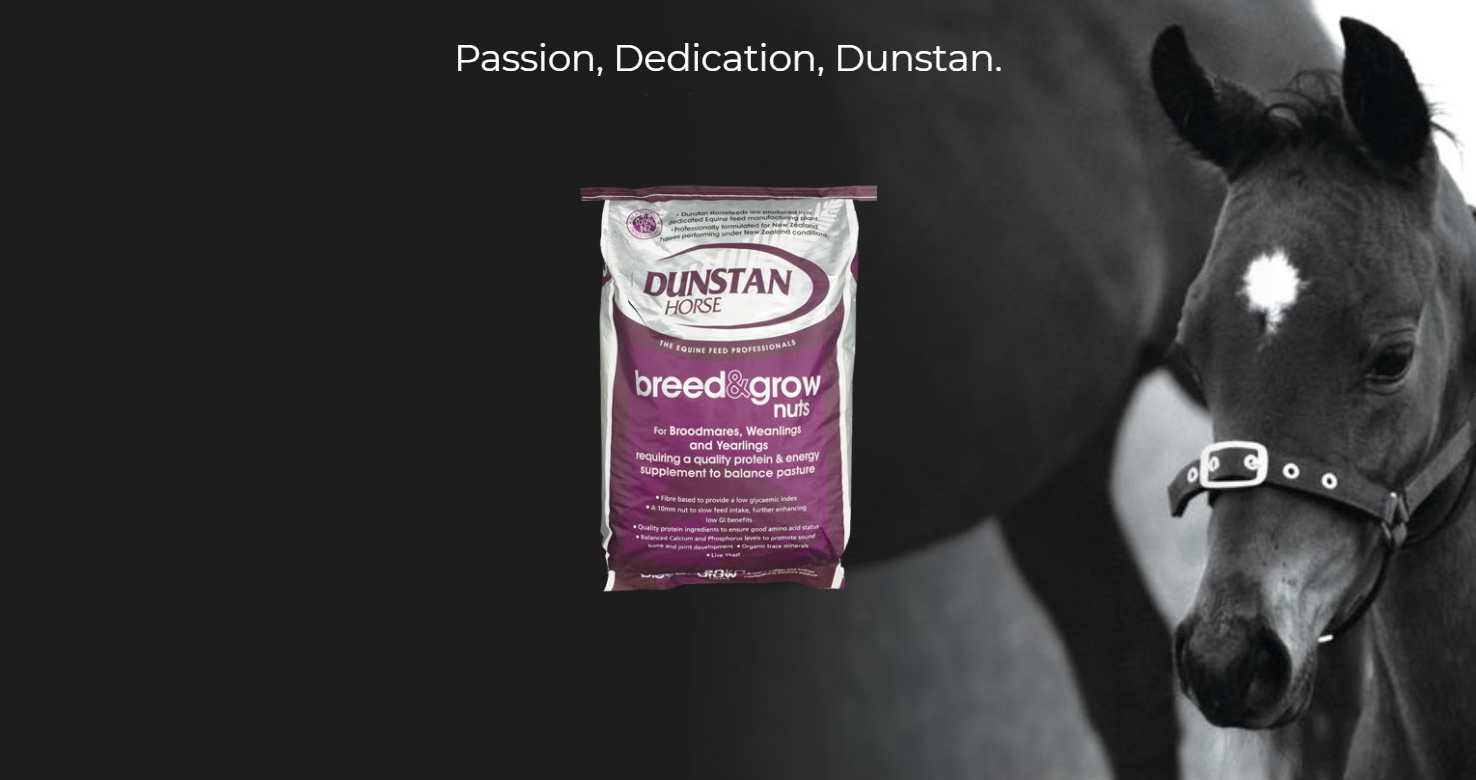 What to feed your horses in winter Insider tips from Dunstan