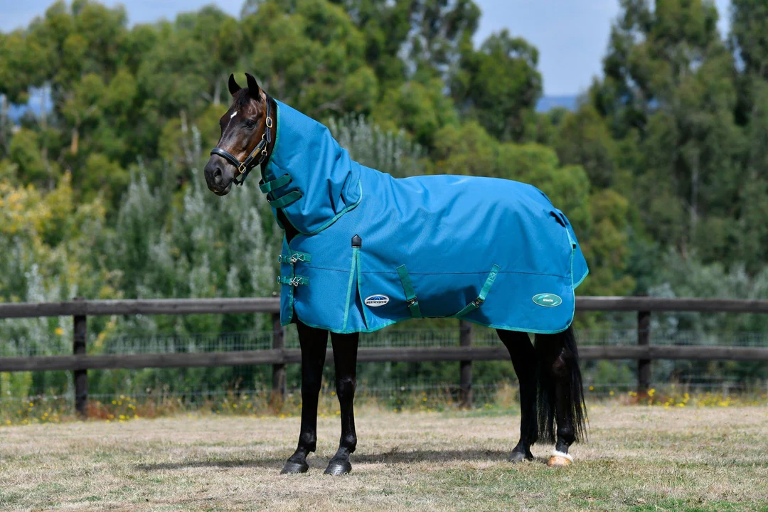 Finding the right Horse Cover for your horse