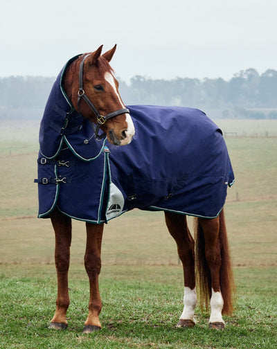 Weatherbeeta ComFiTec Plus Dynamic Turnout Rug - Detatch-a-Neck Lite - 0g