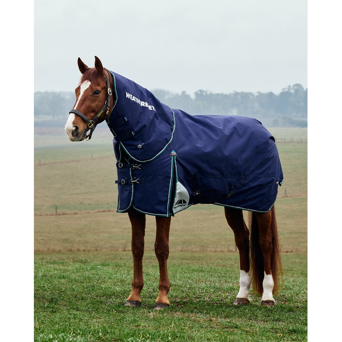 Weatherbeeta ComFiTec Plus Dynamic Turnout Rug - Detatch-a-Neck Lite