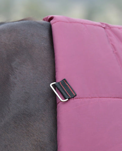 Weatherbeeta ComFiTec Essential Turnout Combo Rug  - Lite Plus 50g