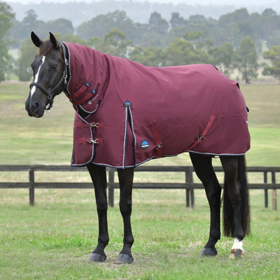 Weatherbeeta ComFiTec Essential Turnout Combo Rug  - Lite Plus 50g