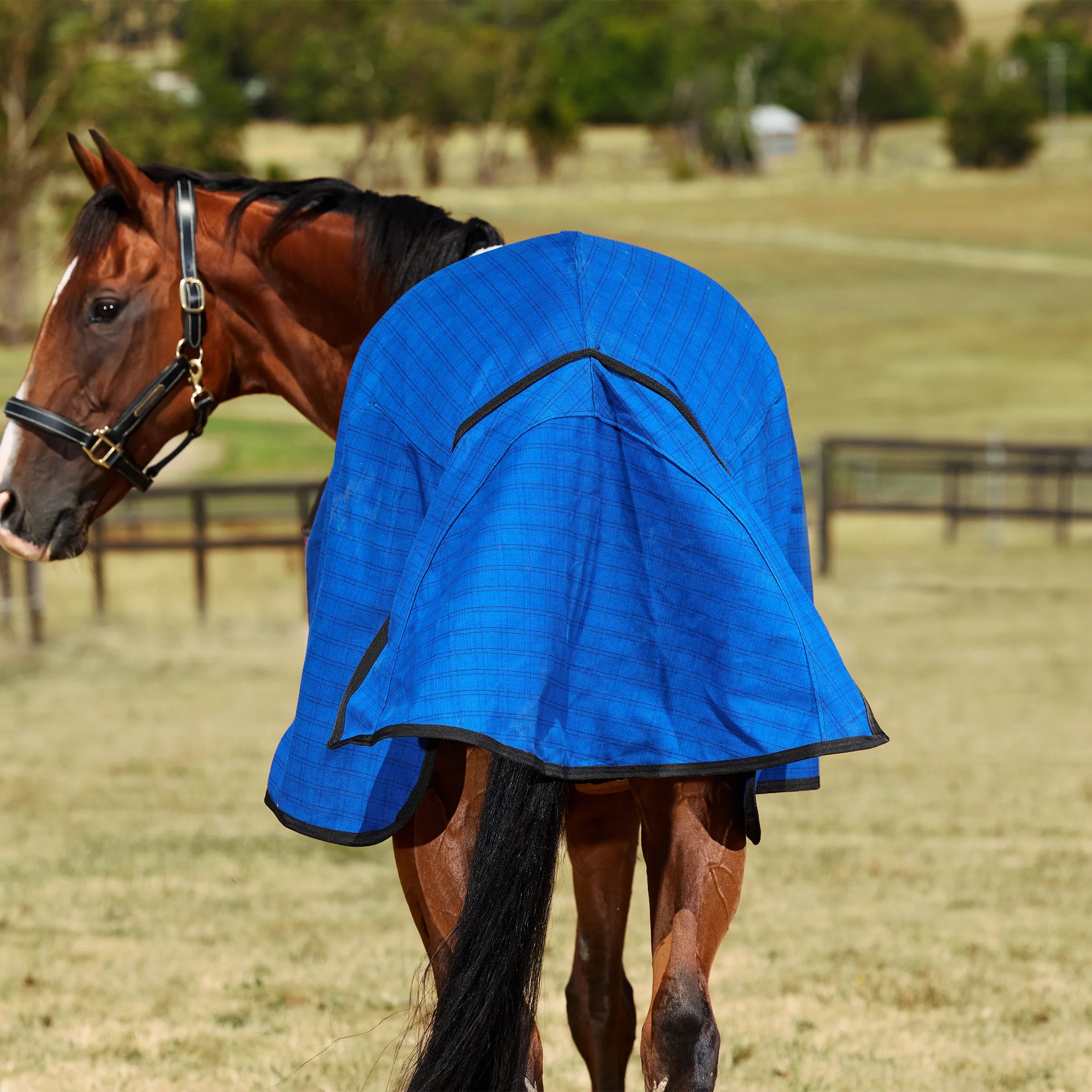 Weatherbeeta Unlined Canvas Standard Neck Rug