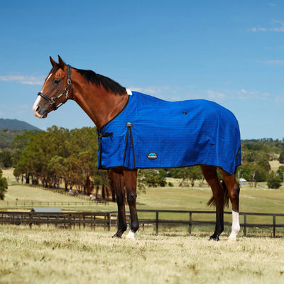 Weatherbeeta Unlined Canvas Standard Neck Rug