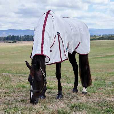 Weatherbeeta ComFiTec Fly Sheet Combo Cover