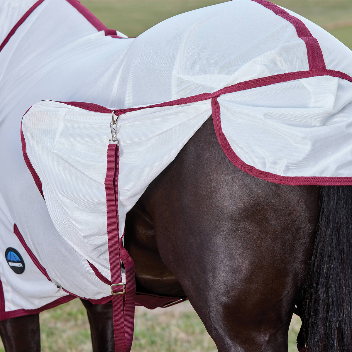 Weatherbeeta ComFiTec Fly Sheet Combo Cover