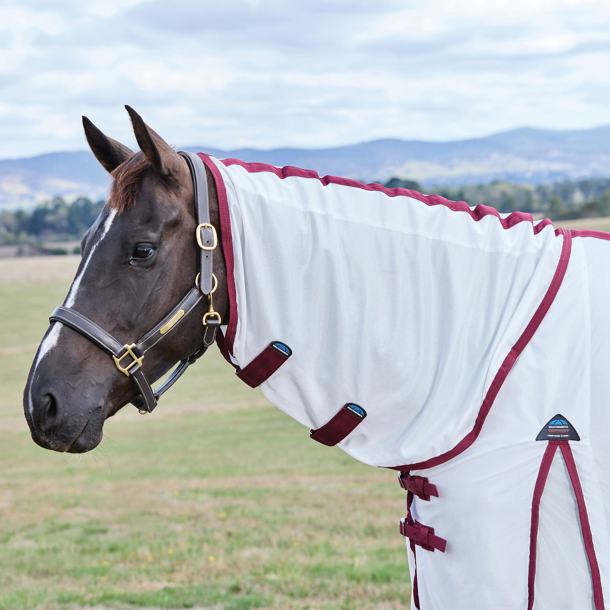 Weatherbeeta ComFiTec Fly Sheet Combo Cover