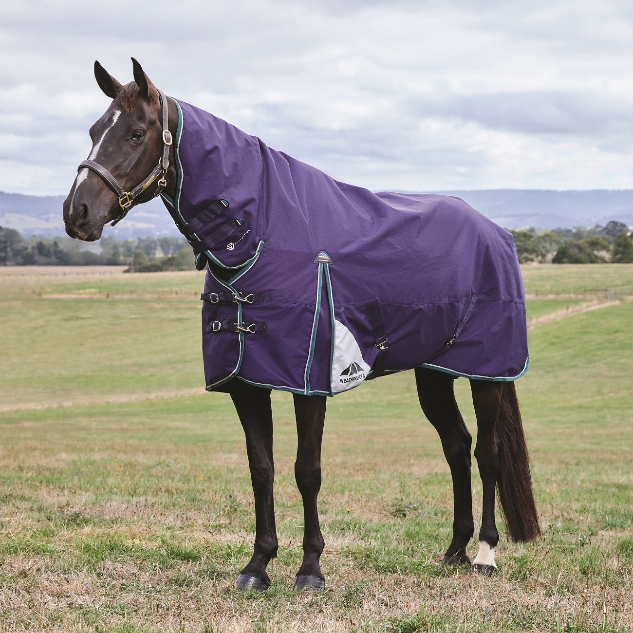Weatherbeeta ComFiTec Plus Dynamic Turnout Combo Rug - Medium Lite