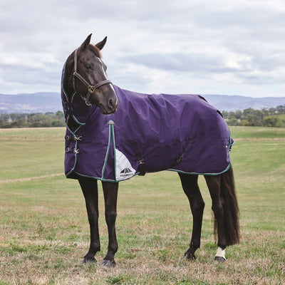 Weatherbeeta ComFiTec Plus Dynamic Turnout Combo Rug - Medium Lite 100g