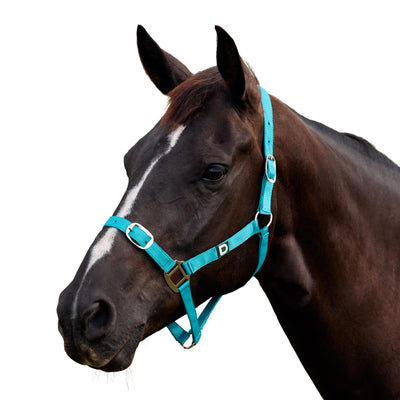 Dublin Everyday Headcollar