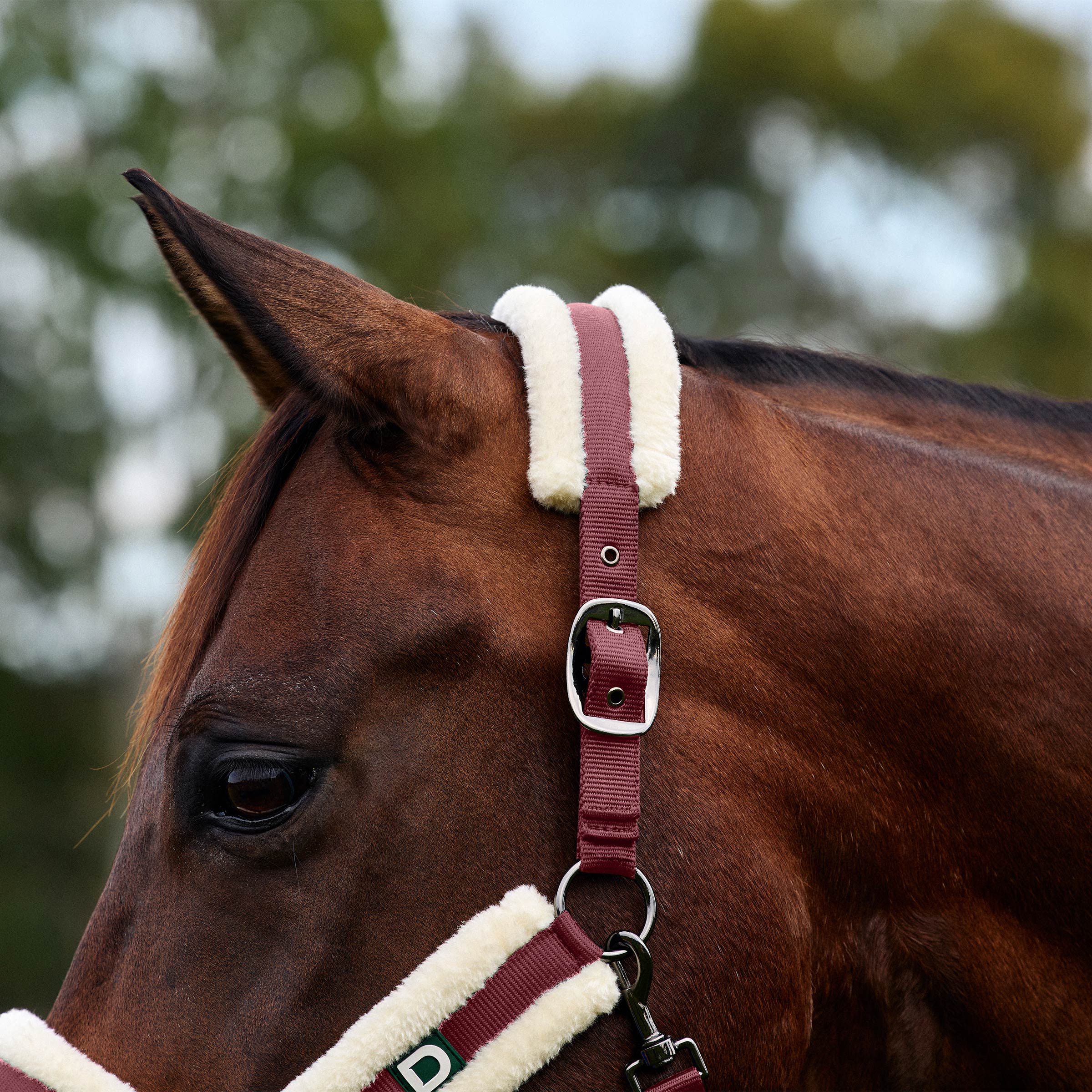 Dublin Soft Fit Headcollar