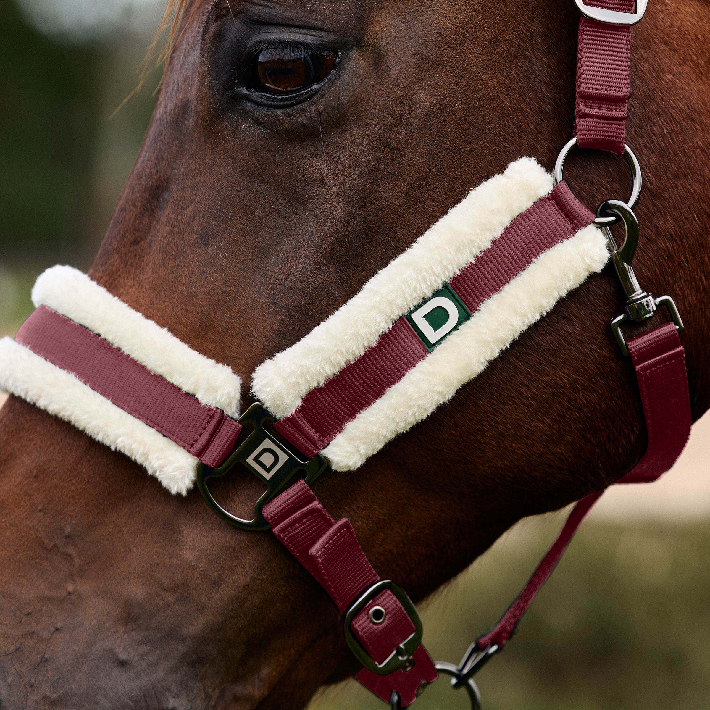Dublin Soft Fit Headcollar