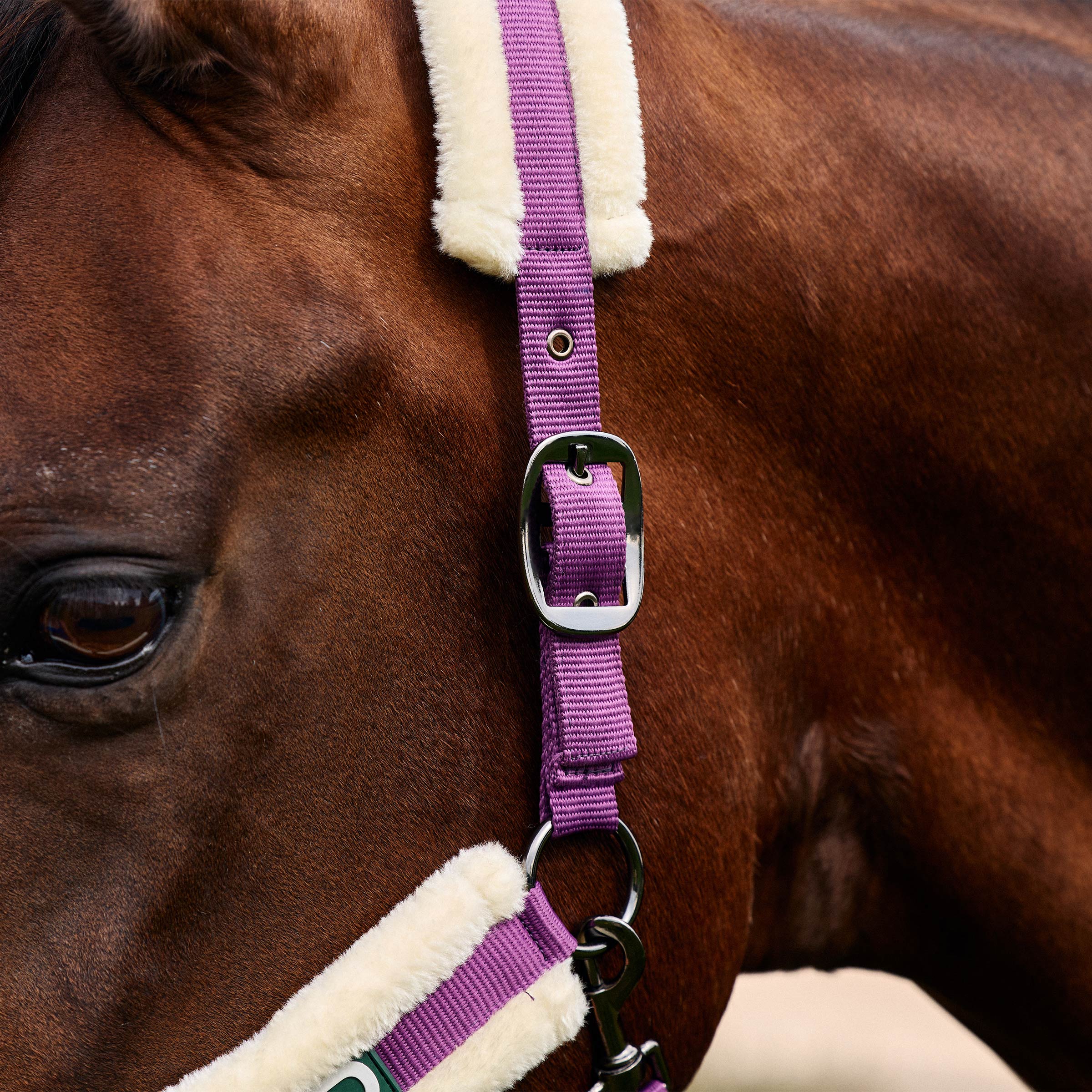 Dublin Soft Fit Headcollar