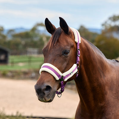 Dublin Soft Fit Headcollar