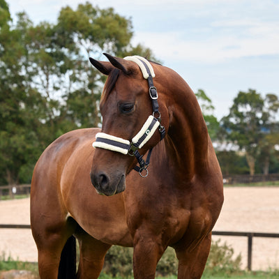 Dublin Soft Fit Headcollar