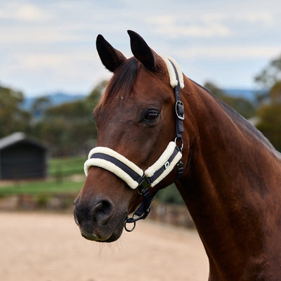 Dublin Soft Fit Headcollar
