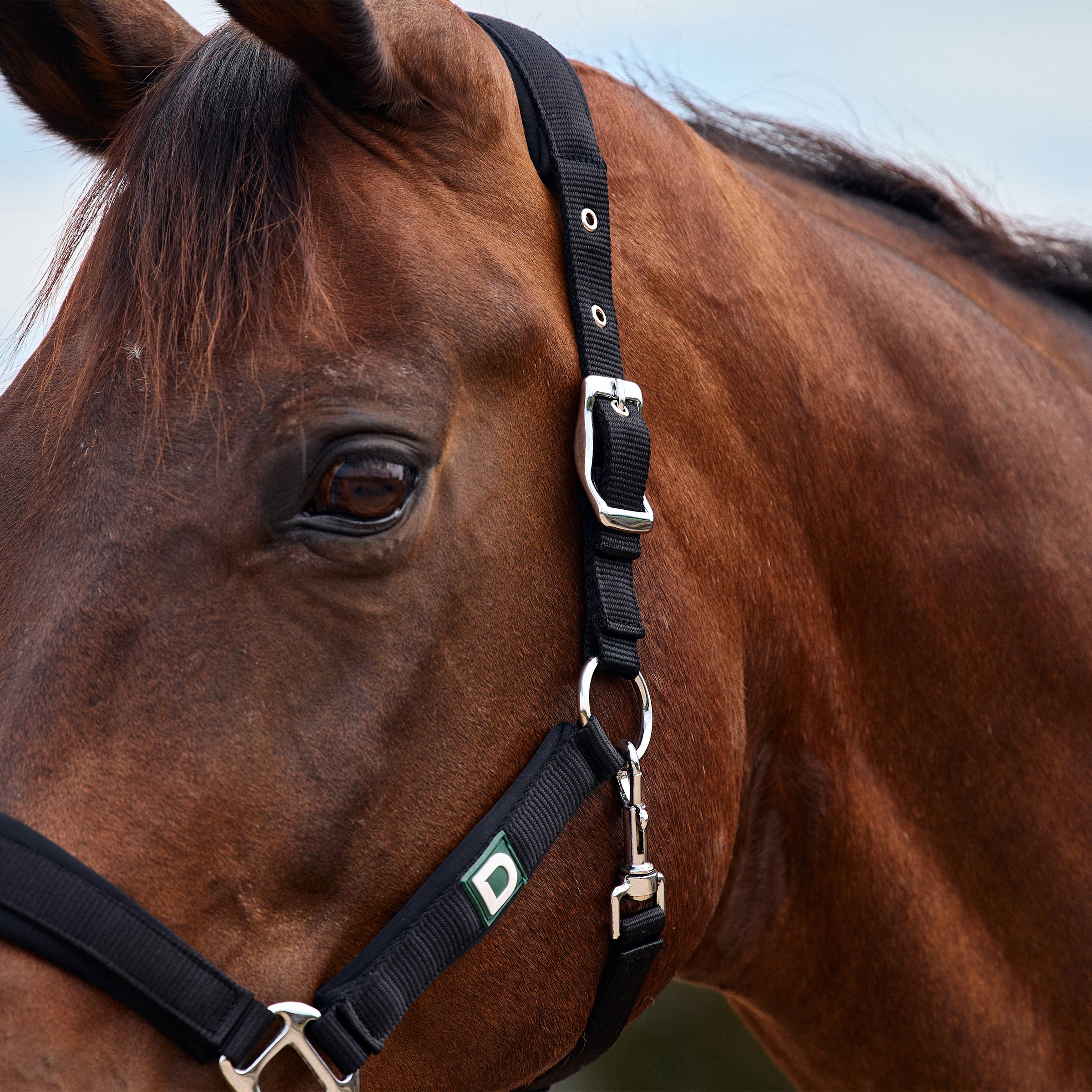 Dublin Neo Comfort Headcollar