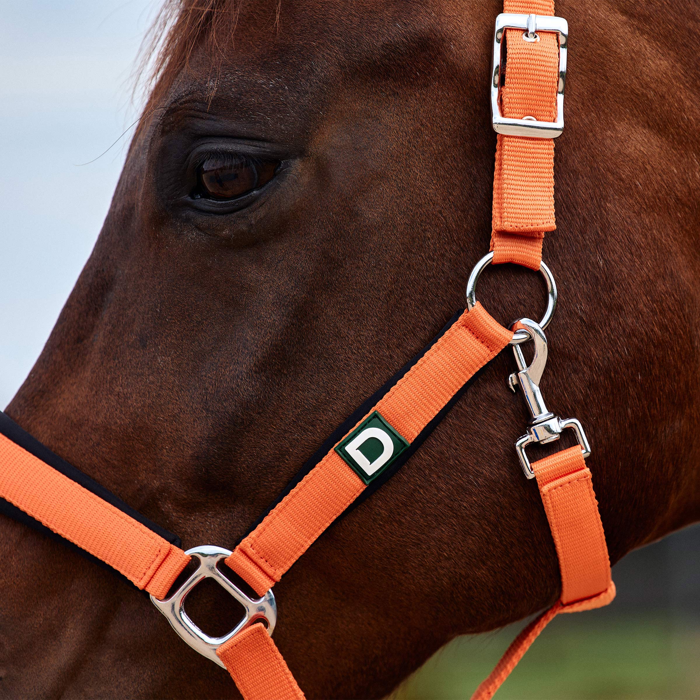 Dublin Neo Comfort Headcollar