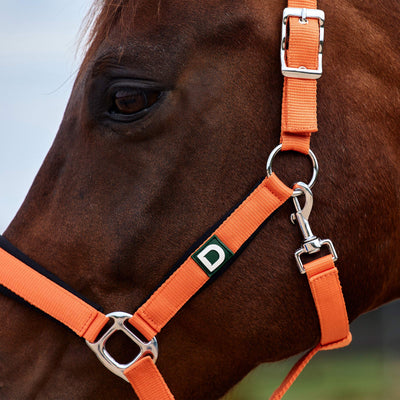 Dublin Neo Comfort Headcollar