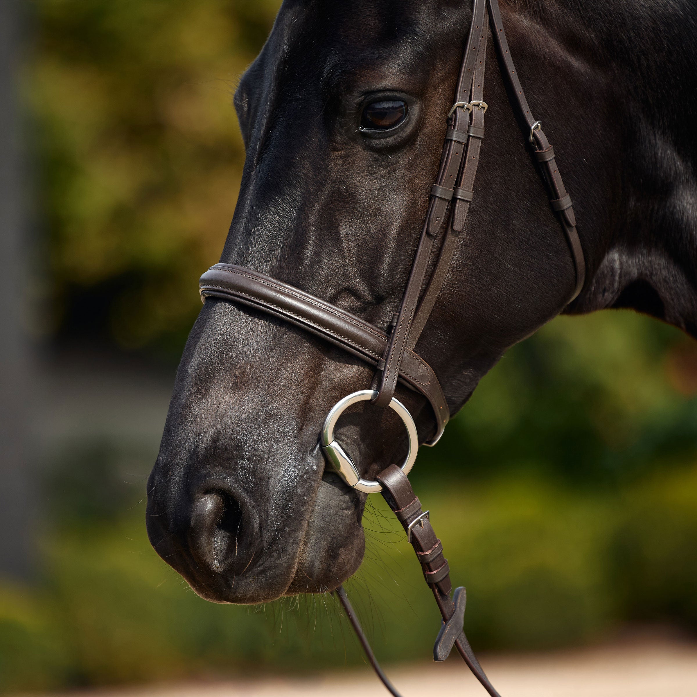 Dublin Padded Cavesson Bridle