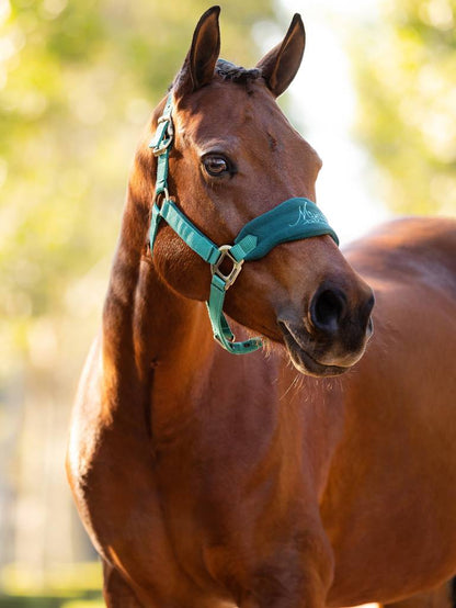 LeMieux Mini Vogue Headcollar & Leadrope - AW23