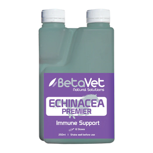 Betavet Echinacea Premier 500ml