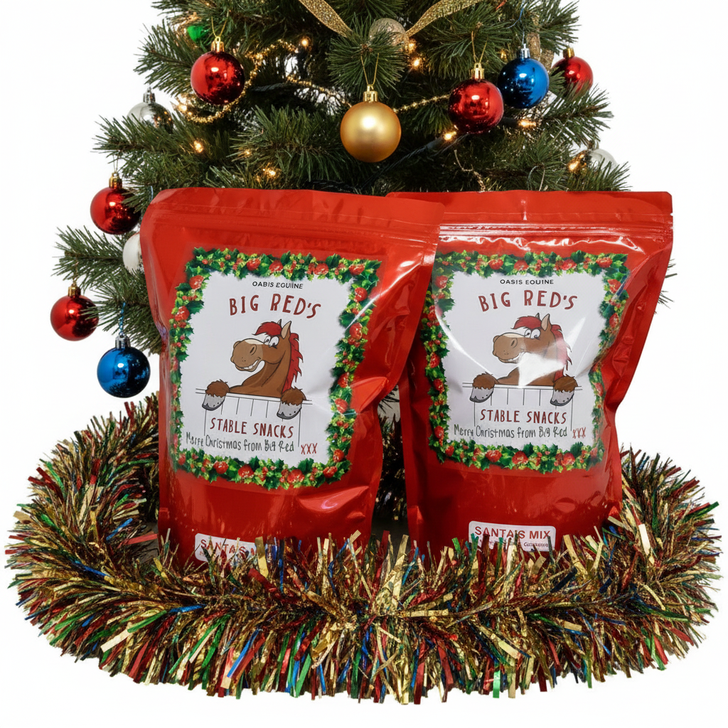 Big Red Christmas Snacks