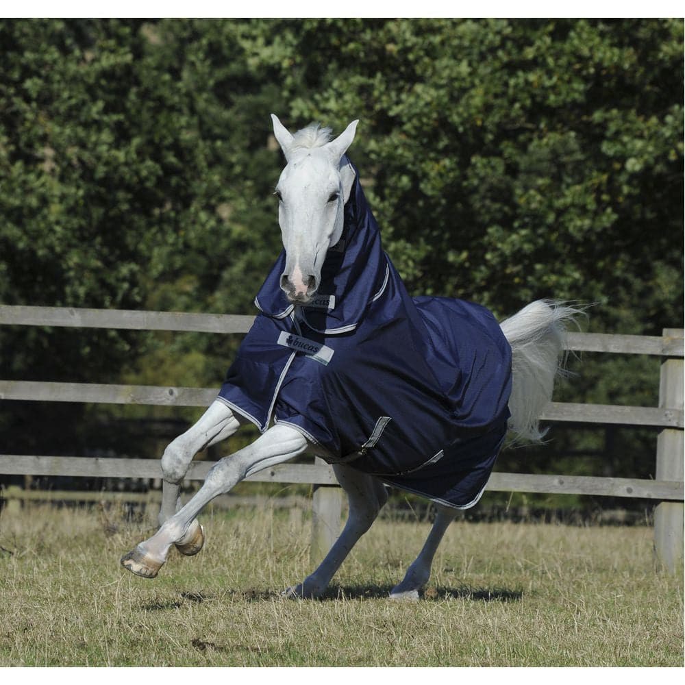 Bucas Rug Freedom Navy 150g