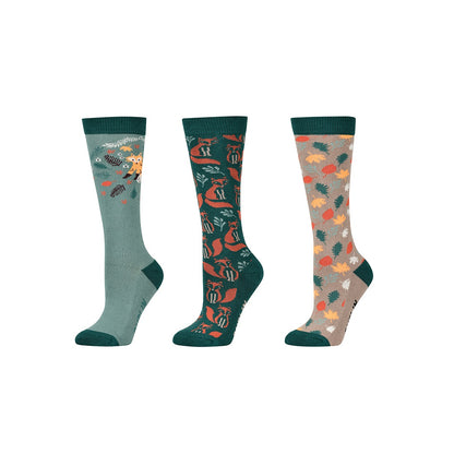 Dublin Kids 3 Pack Socks - Winter 24