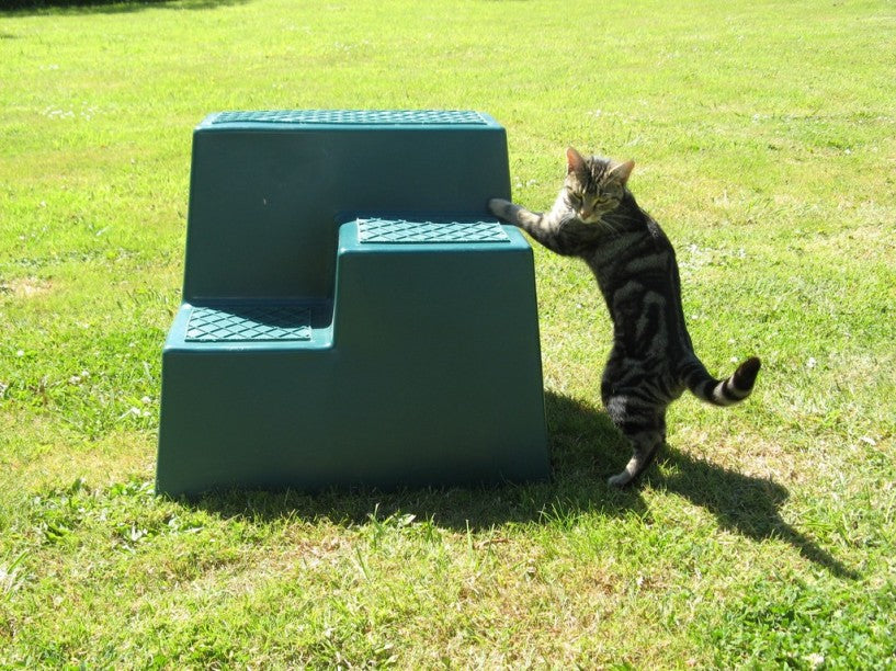 Easy Step Mounting Block