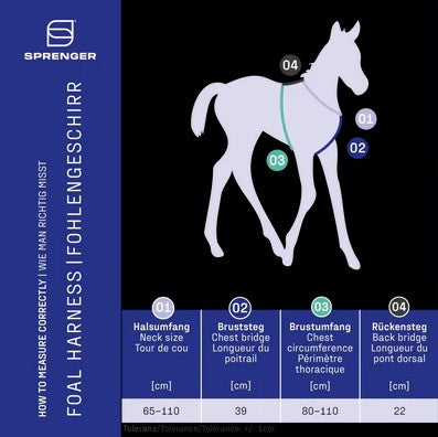 Sprenger Foal Harness