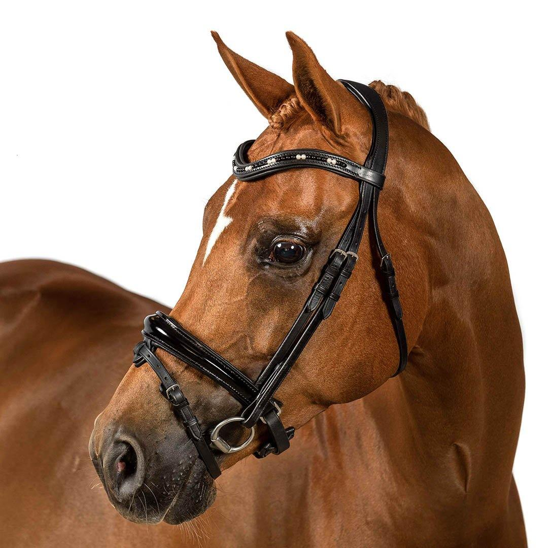 Flexible Fit Premium  Astral Snaffle Bridle