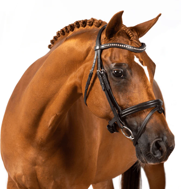 Flexible Fit Premium Riley Snaffle Bridle