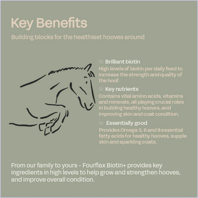 Four Flax Biotin +
