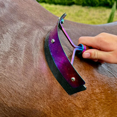 Hairy Pony Rainbow Mini Sweat Scraper