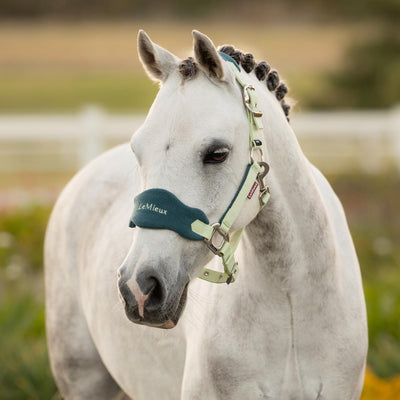 LeMieux Mini Vogue Headcollar & Leadrope - SS26