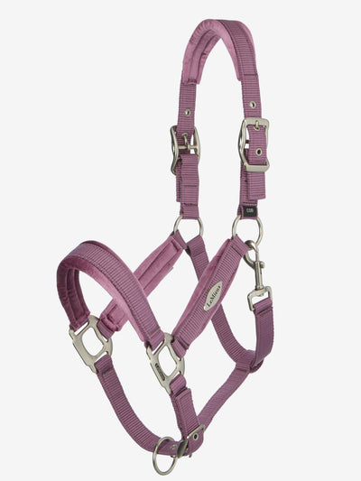 LeMieux Versailles Headcollar - SS26