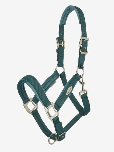 LeMieux Versailles Headcollar - SS26