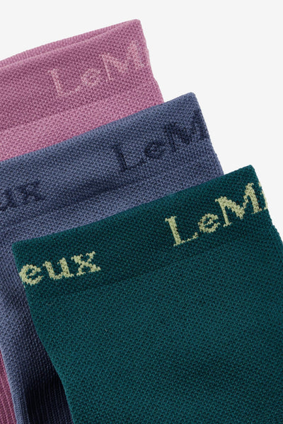 LeMieux Trainer Sock 3 Pack Multi - SS26