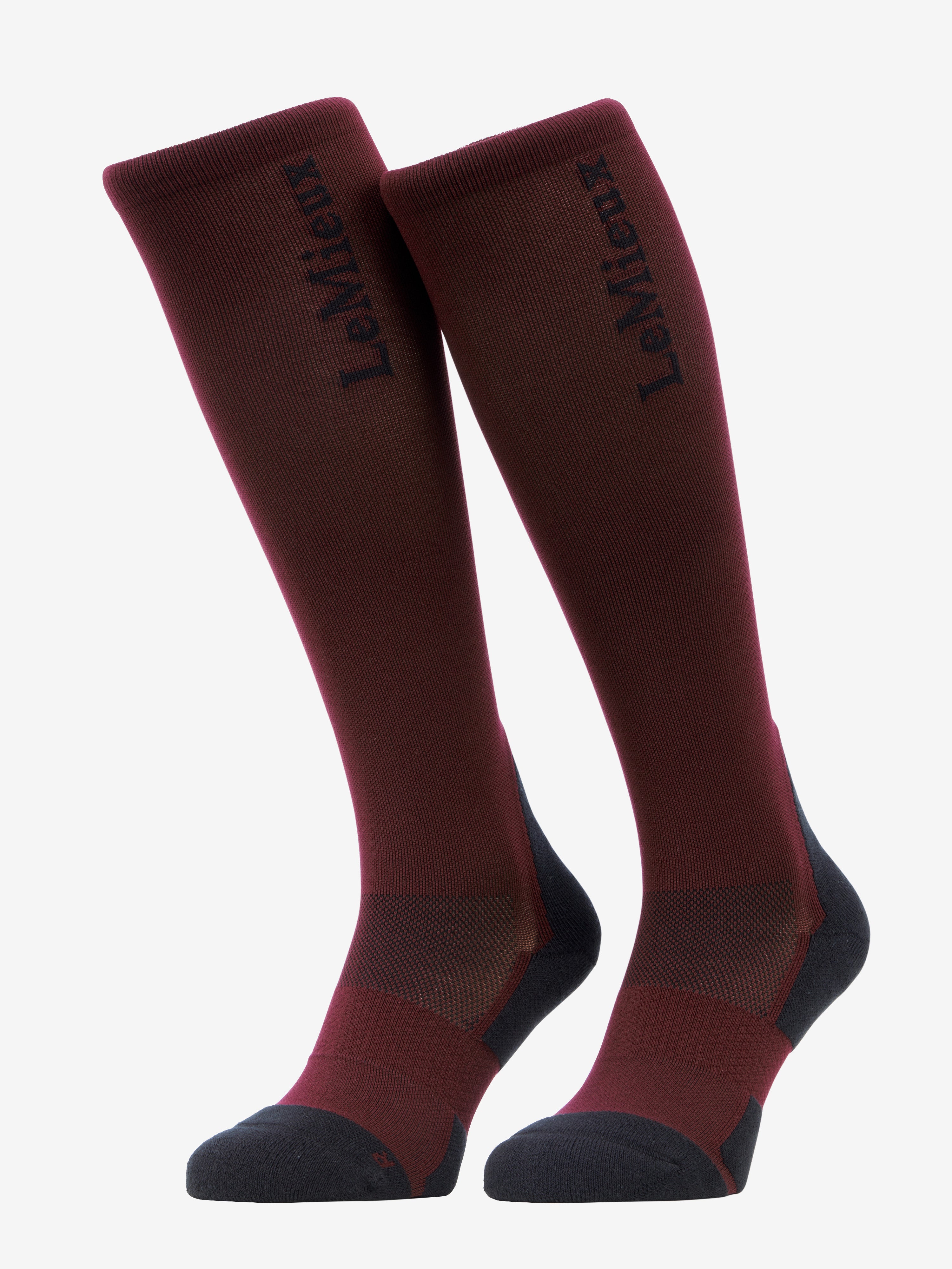 LeMieux Performance Socks - AW26