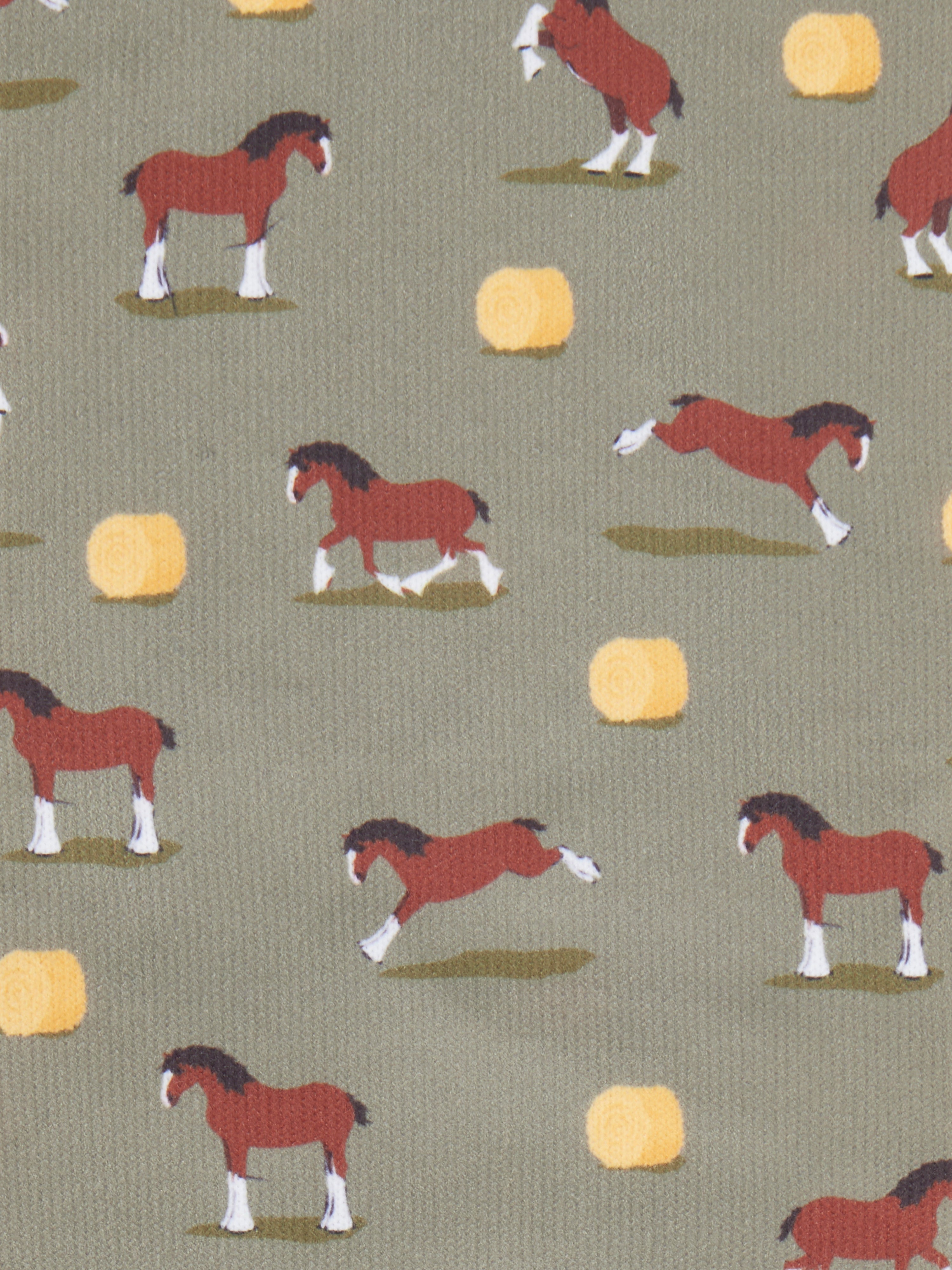 LeMieux Footsie Socks - AW26