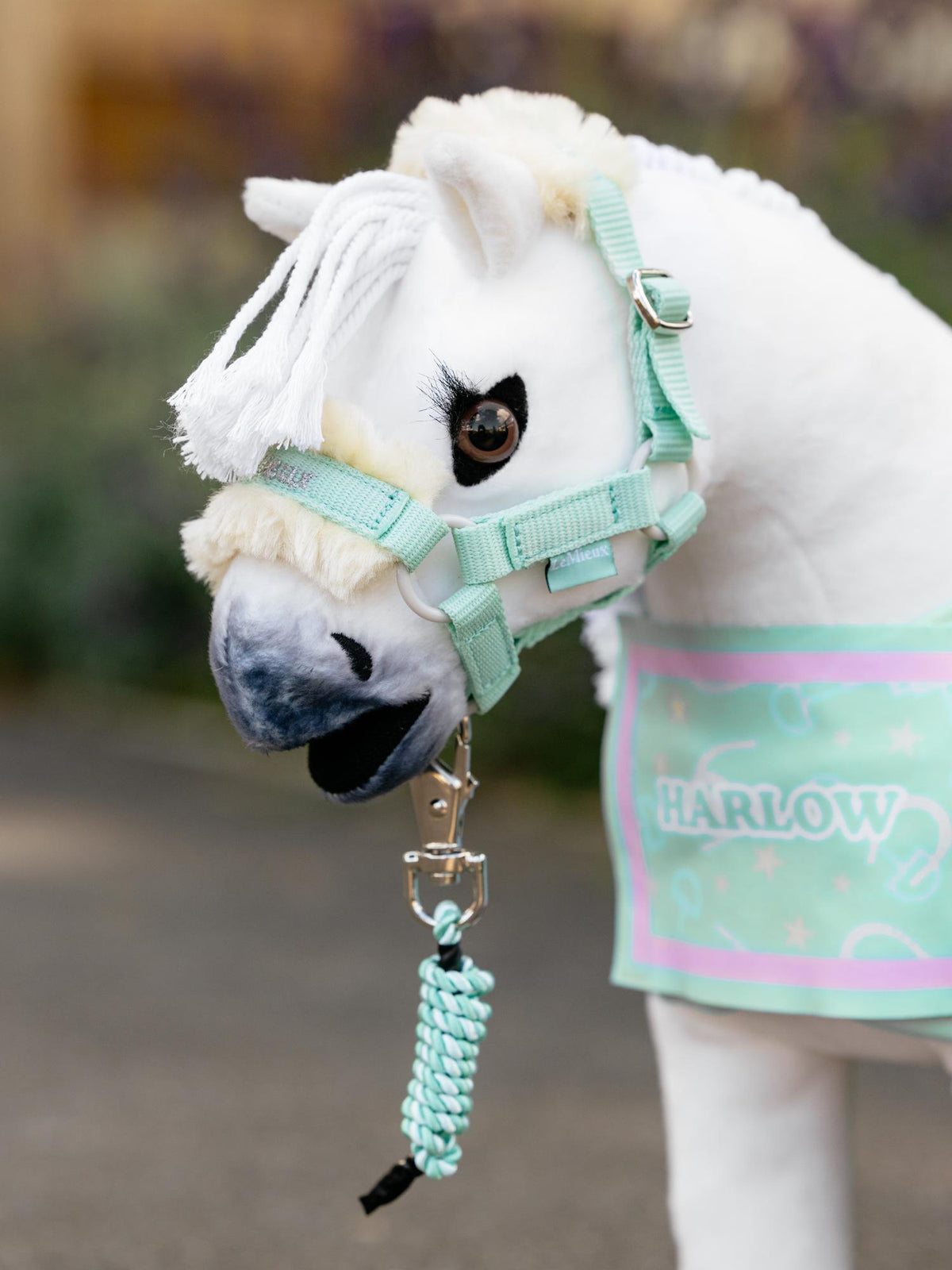 Harlow Toy Pony Headcollar & Leadrope