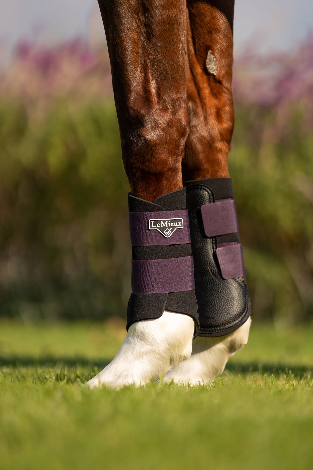 LeMieux Grafter Brushing Boot