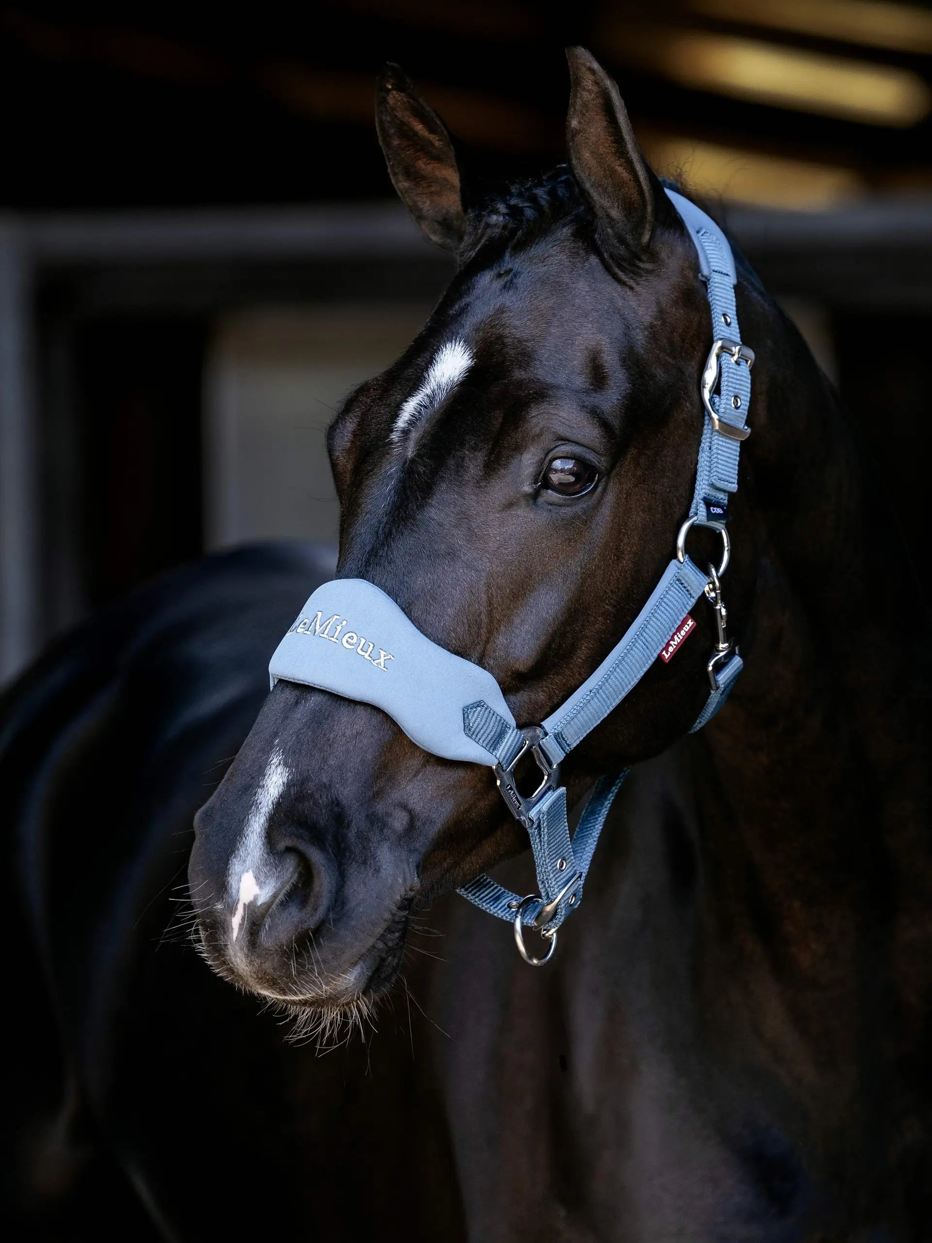 LeMieux Breakaway Vogue Headcollar