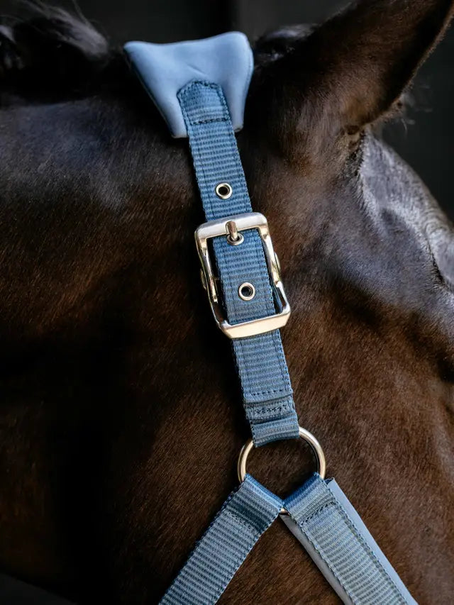 LeMieux Breakaway Vogue Headcollar