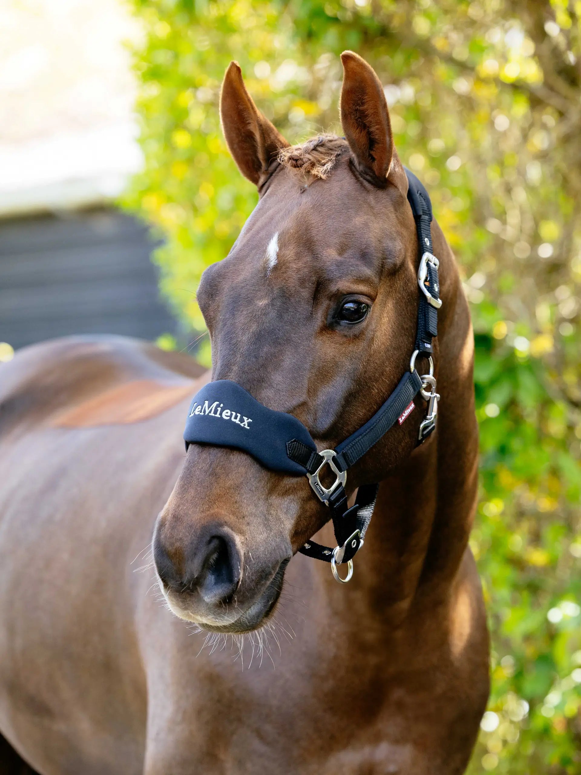 LeMieux Breakaway Vogue Headcollar