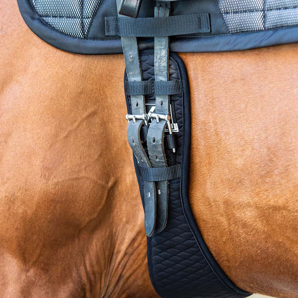 Lami-Cell V22 Dressage Girth