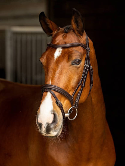 LeMieux Arika Flash Bridle